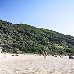 5 Star In * Liseleje